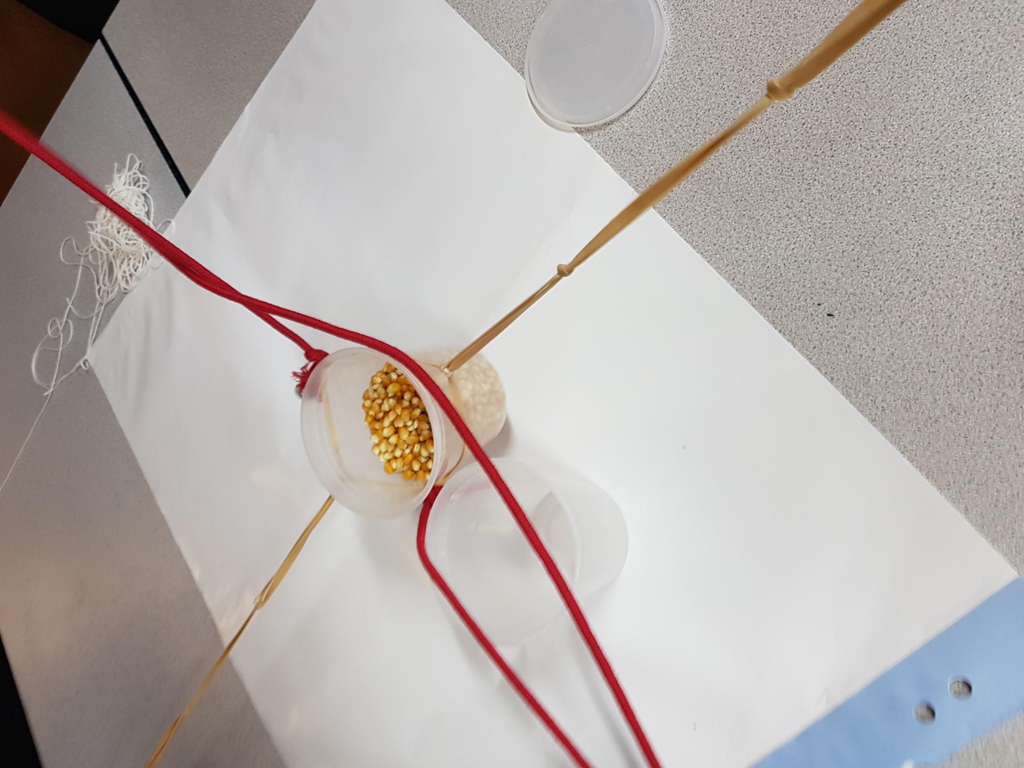 A container with Popcorn kernals inside is being pulled by pieces of string.
