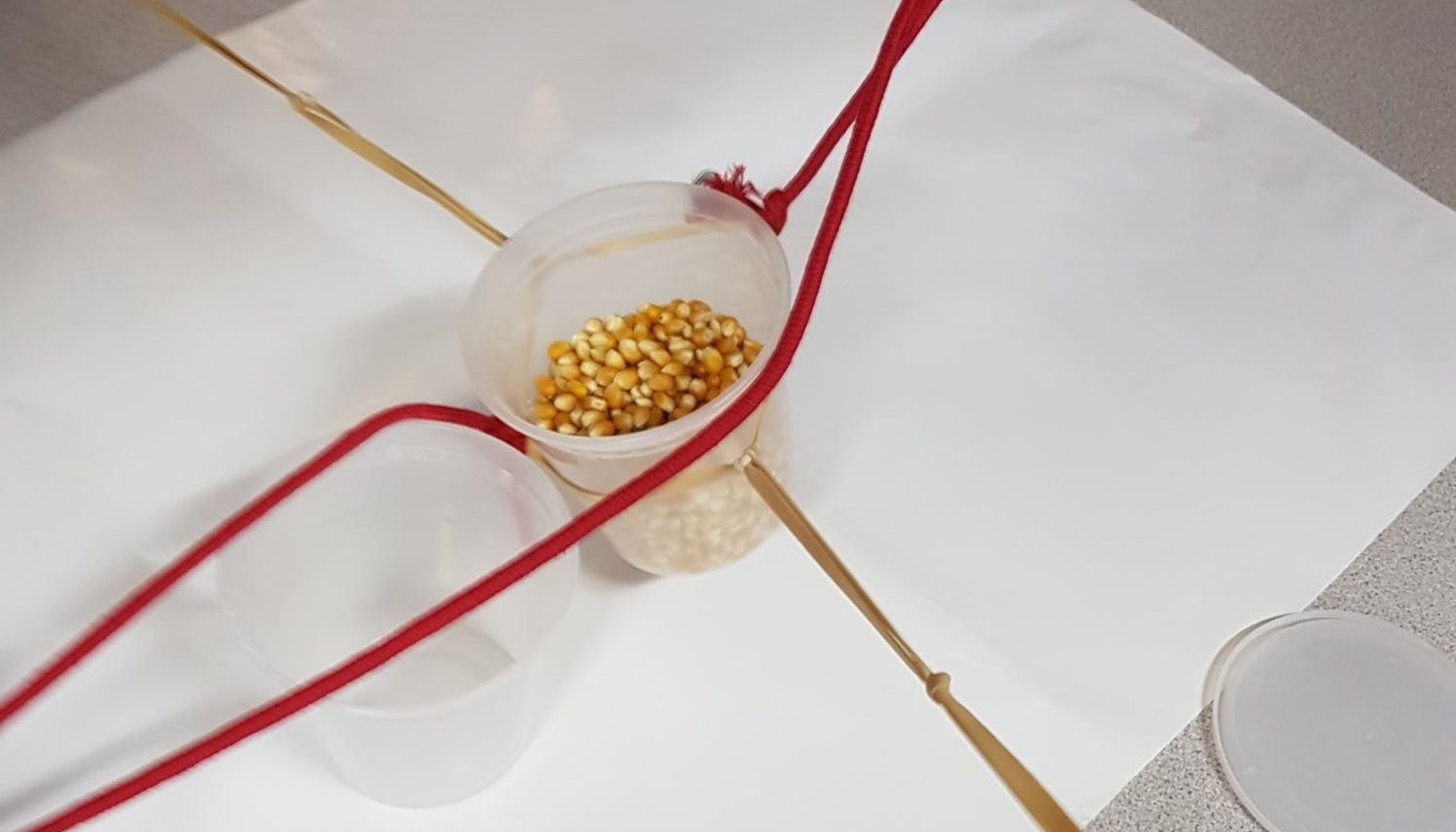 A container with Popcorn kernals inside is being pulled by pieces of string.