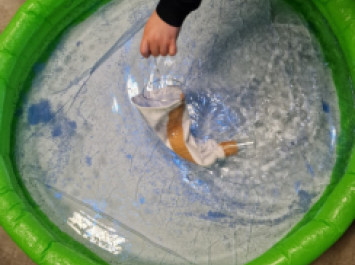 Plankton Pool